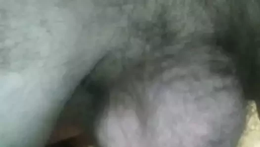 Plugged and sounding tiny cock