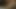 Sevimli lezbiyen seks sanatı orgazmı