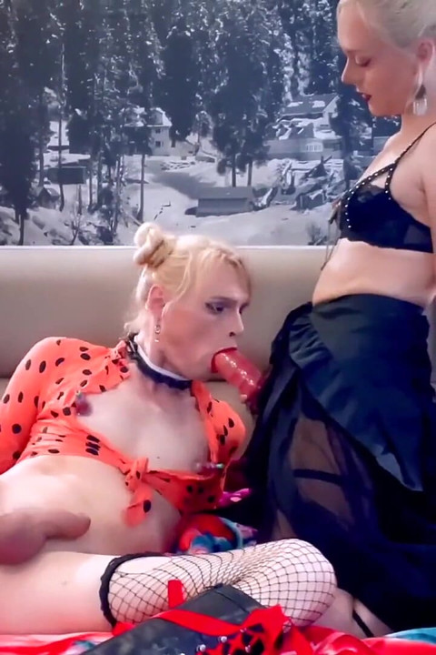 حار ربط سيسي عاهرة هيمنة رائعة