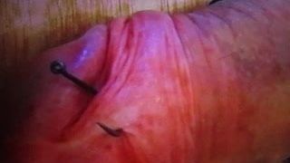 Frenum piercing com anzol