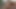 妻たち 家に一人:妻 #285