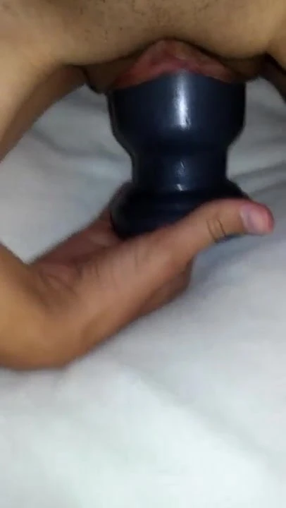 Han F 294