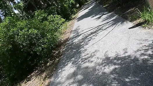 Видео на весь день