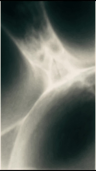 陰毛の細部が描かれた半透明のセックス。