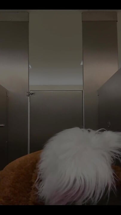 空港で、さらなるアナルトレーニングの準備をしている