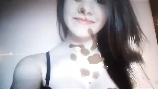 haraç kmyee