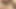 Hard indian big dick muslim army daddy wanted to fuck me