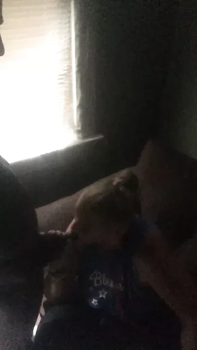 Me And White Cougar 47 Sucking Me Off Nicely
