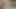 Looking my xhamster friends huge cock and taking 13 inch