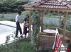 Pregled videozapisa