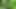 Trans girl gets naked on public in the forest
