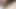 BlowJob For My Lover.