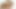 Dava Foxx POV fuck
