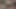 موزع الساق! أنشر ساقي ، أكون مستعدا للرش