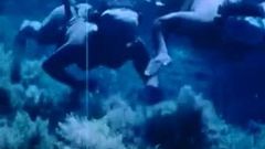 Japanische Ama-Taucherin unter Wasser 1963