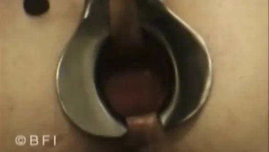 Toket dan memek pribadi Jerman