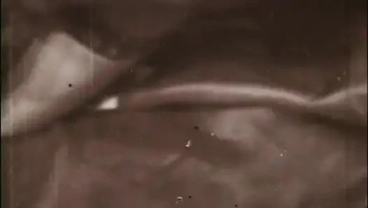 Siktirlerin Maceraları