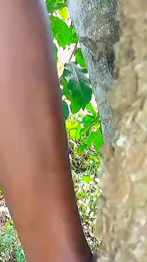 Teen Solo female masturbation with wet tight pussy in the bush, she missed hardcore fuck and enjoyed self sexual pleasure | Clip 2