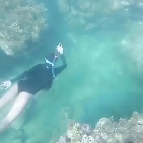 Ima Mermaid