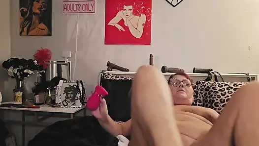 Die MILF-Chroniken 1