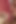 Horny slut sucks her way to a sticky cumshot
