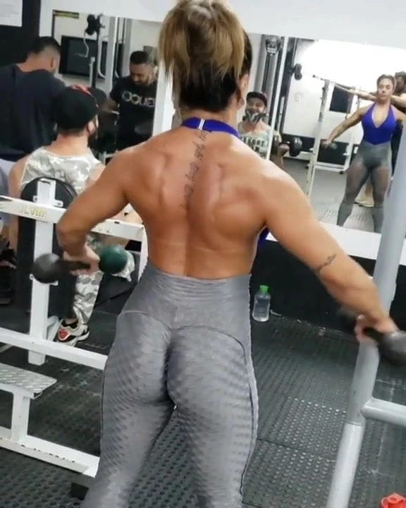 academia 8