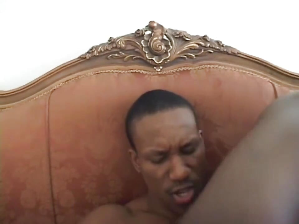 Pepek berbulu montel hitam bertetek besar berkongkek... Pancutan mani dalam mulut