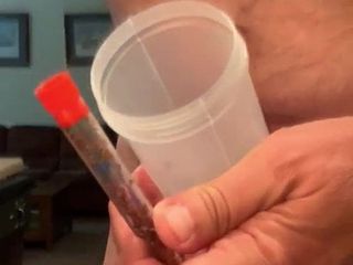 CBT fun with red harverster ants and urethra play part 1