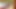 blond man bare fucked lying under stall (31'')