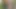 3 mal Blasen als Bestrafung