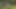 Öffentlicher Fick im Wald ohne Gummi