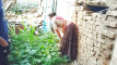 Pratinjau video