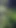 Accidental Meeting in the Forest Leads to Doggy Style Fuck
