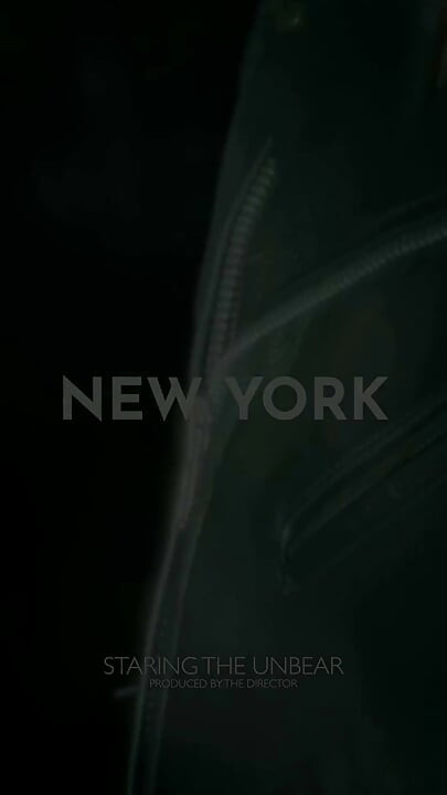 New York - the Un Bear