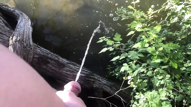 Peeing Is Fun