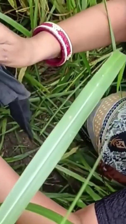 The illicit relationship between father-in-law and daughter-in-law went to the fields and quenched thirst, openly sucked cock in the mouth, father-in-law fucked the daughter-in-law's buttocks, put the daughter-in-law to sleep below him. | Clip 1