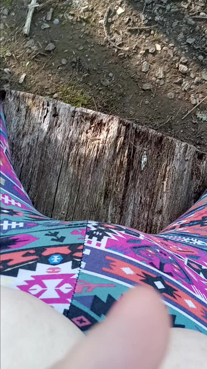 Na floresta