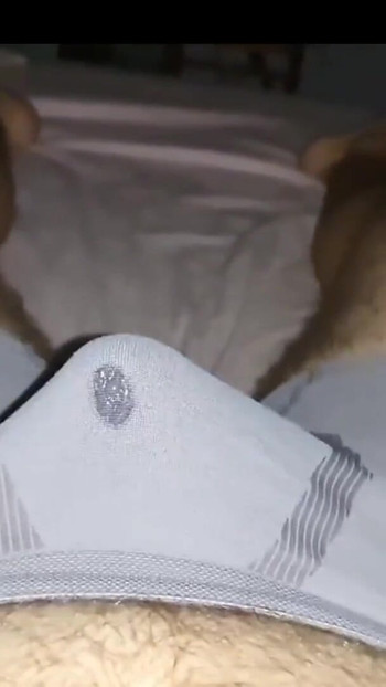 Emotional moment from "Solo mastrubation with two vibrators cum at the same time in underware"