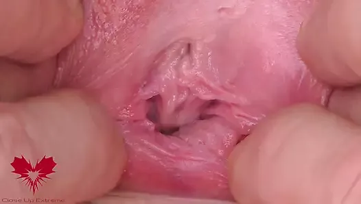 The Mistress's Cunt Is Stretched. Extreme Close-up of Her Wide Open Pussy. Main View