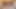 POV: This trio of whores wants to get all your cum and fulfill your most perverted desires, we are going to please you