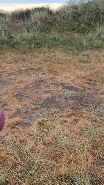 Emotional moment from "Morning Cumshot in Dansk Dunes"