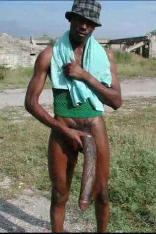 Big Black Cock ( 12 Inches Dick )