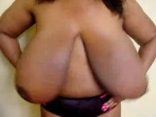 Ms Titty3