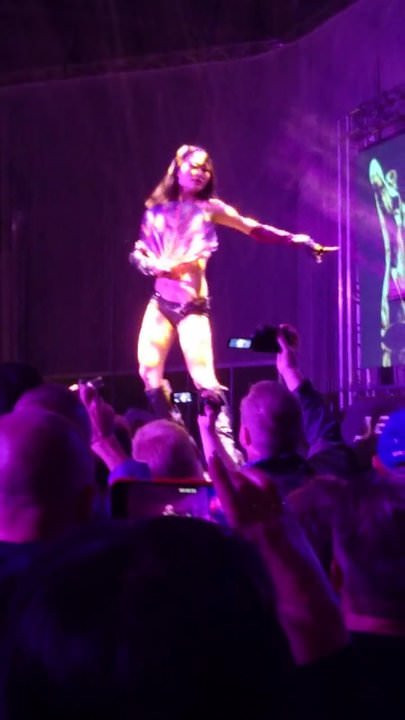 Kittycat auf der Venus 2016
