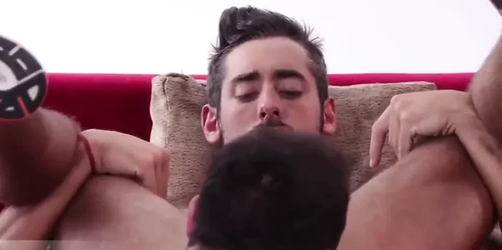 Gay flip fuck II