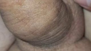 Piccolo cazzo precum non tagliato