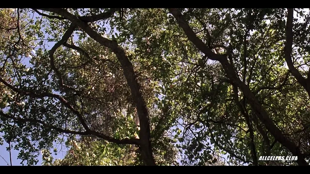 Debi Sue Voorhees in Friday the 13th: A New Beginning