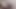 セクシービデオ