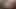 ベイブは吸った後、濡れたディルドを膣に滑り込ませる