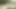 Tushyraw sıkı hottie seviyor sahip olan ona göt becerdin sert